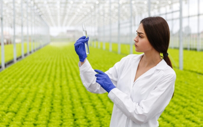 Chemical & Fertilizers